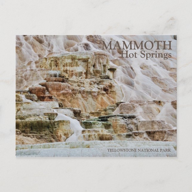 MAMMOTH HOT SPRINGS, YELLOWSTONE NATIONAL PARK, WE POSTKARTE (Vorderseite)