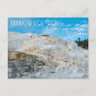 Mammoth Hot Springs Yellowstone Nationalpark Postkarte