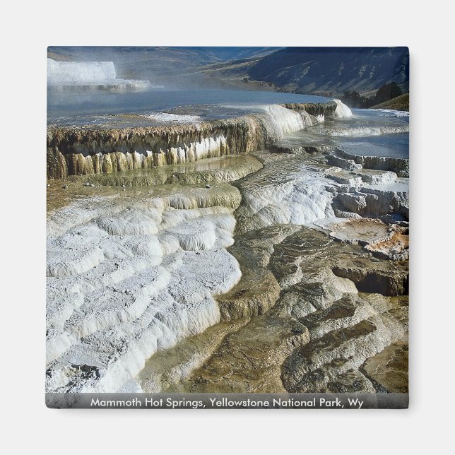 Mammoth Hot Springs, Yellowstone Nationalpark, Wy Magnet (Vorne)