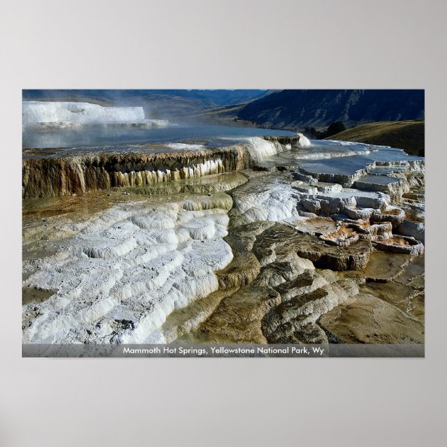 Mammoth Hot Springs, Yellowstone Nationalpark, Wy Poster (Vorne)