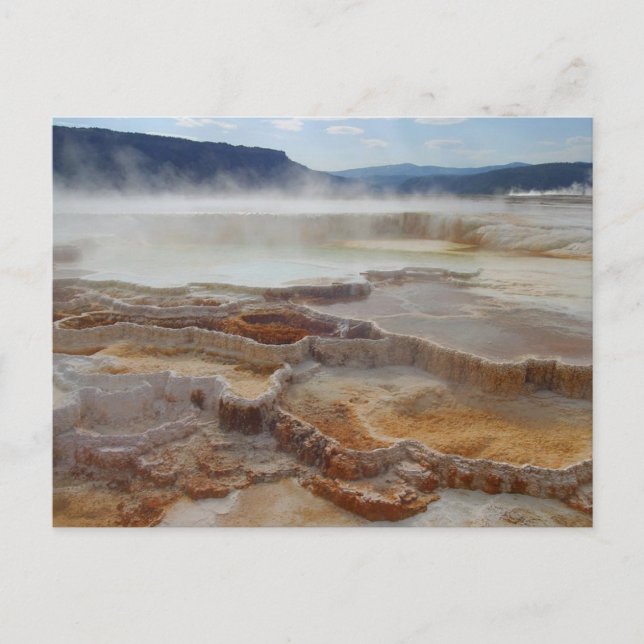 Mammoth Hot Springs Yellowstone Postkarte (Vorderseite)