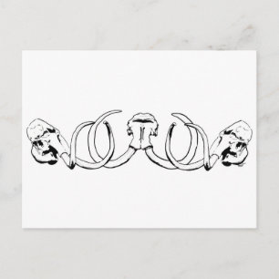 Mammoth Skull Postcard Postkarte