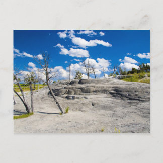 Mammoth Springs Postkarte