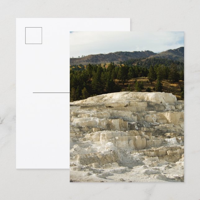 Mammoth Steps 2008 Postkarte (Vorne/Hinten)