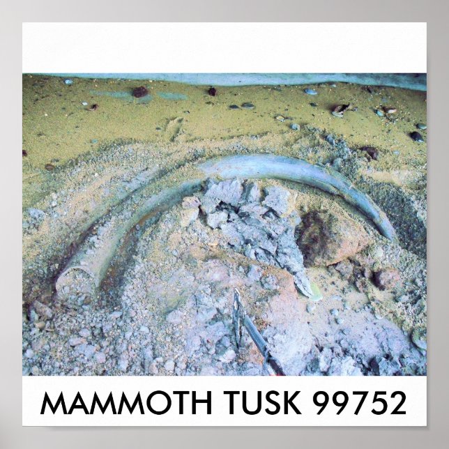 Mammotusk (2), MAMMOTH TUSK 99752 Poster (Vorne)