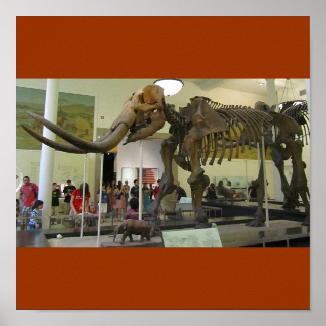 Mammut! Poster (Vorne)