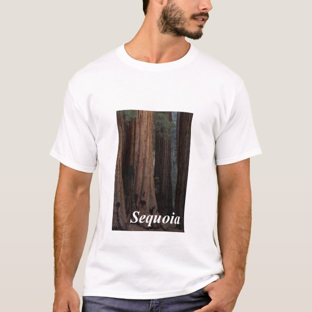 Mammutbaum T-Shirt (Vorderseite)