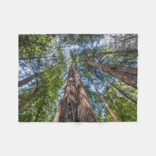 Mammutbäume Marin County, Kalifornien Fleecedecke