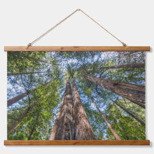 Mammutbäume   Marin County, Kalifornien Wandteppich Mit Holzrahmen