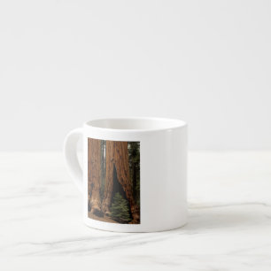 Mammutbäume, Sequoia-Nationalpark. Espressotasse