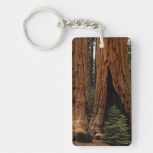 Mammutbäume, Sequoia-Nationalpark. Schlüsselanhänger
