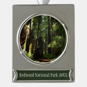 Mammutbäume und Farne im Redwood National Park Banner-Ornament Silber