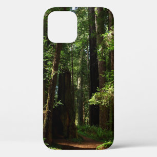 Mammutbäume und Farne im Redwood National Park Case-Mate iPhone Hülle