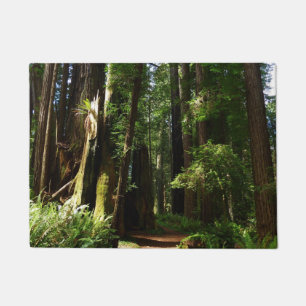 Mammutbäume und Farne im Redwood National Park Fußmatte