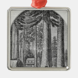 Mammutbaumwaldung im Tal von Silbernes Ornament