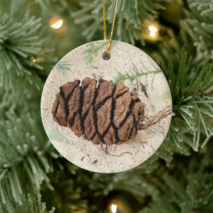 Mammutbaumzapfen, Riesiger Rotholz-Schmuck Keramik Ornament