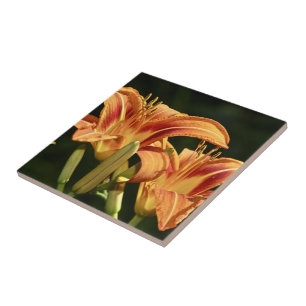 Man denke an die Lilien des Felds Fliese