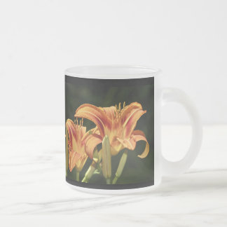 Man denke an die Lilien des Felds Mattglastasse