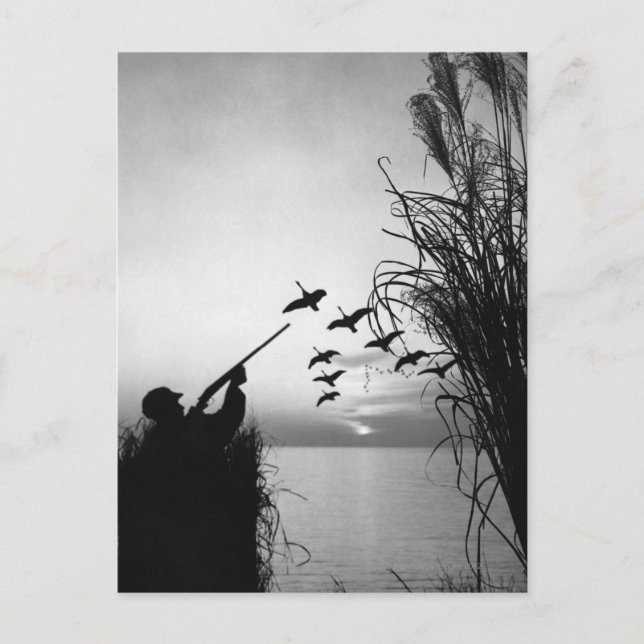 Man Duck Hunting Postkarte (Vorderseite)