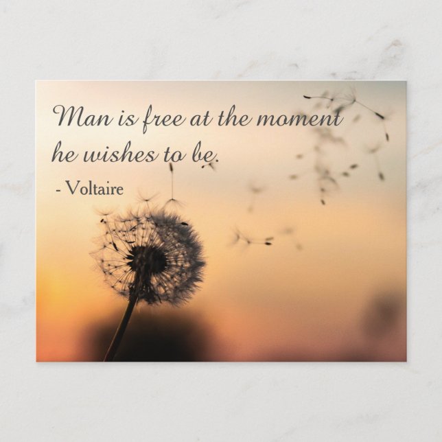 Man is Free Voltaire Quote Postkarte (Vorderseite)