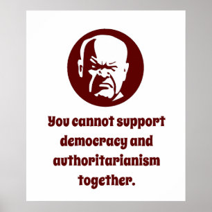 Man kann Demokratie nicht unterstützen - Weisheit Poster