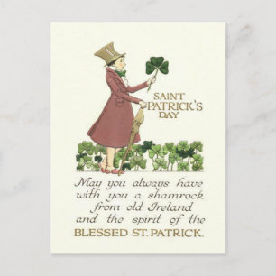 Man Kleeblatt Shillelagh Postkarte