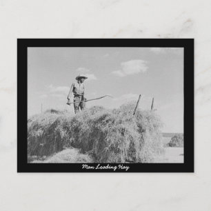 Man Loading Hay Postkarte