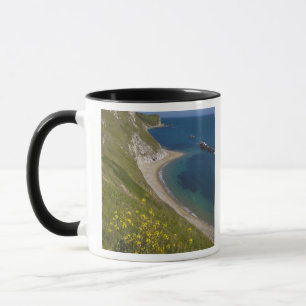 Man o War Bay, Jurassic Coast, Lulworth, Dorset, Tasse