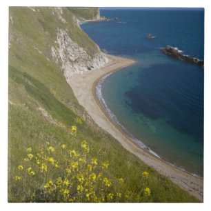 Man o War Bay, Jurassische Küste, Lulworth, Dorset Fliese