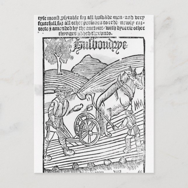 Man pflügt ein Feld Postkarte (Vorderseite)