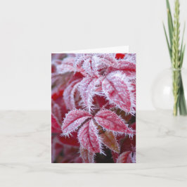 Man schmilzt den Frost vom Gruß Karte