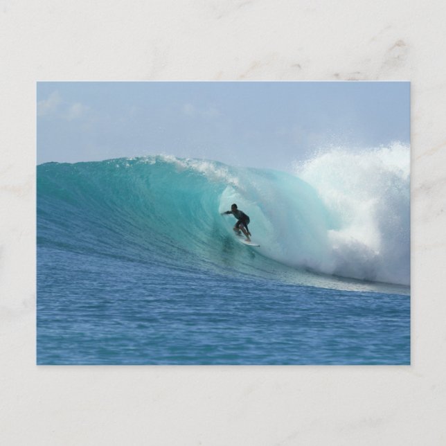 Man surft Wave Postcard Postkarte (Vorderseite)