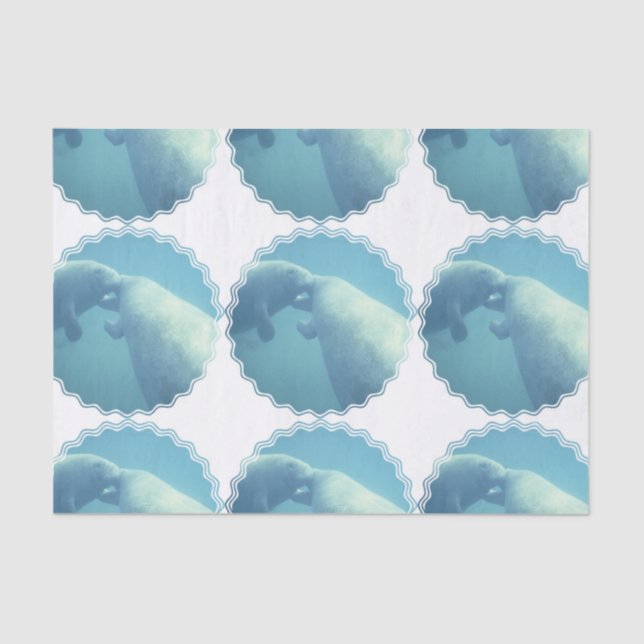 manatee-9 seidenpapier (Vorderseite)