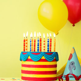 Manatee and Balloons Custom Birthday Party Partyhütchen