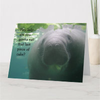 Manatee Birthday Letztes Stück Kuchen Lady - BIG