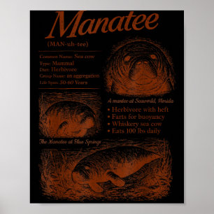 Manatee-Definition 90er Respektiert die Einheimisc Poster