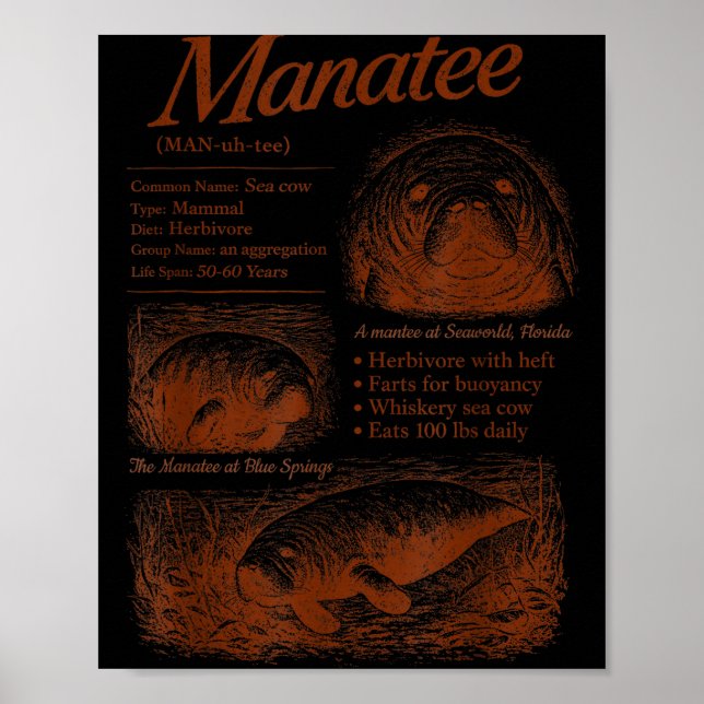 Manatee-Definition 90er Respektiert die Einheimisc Poster (Vorne)