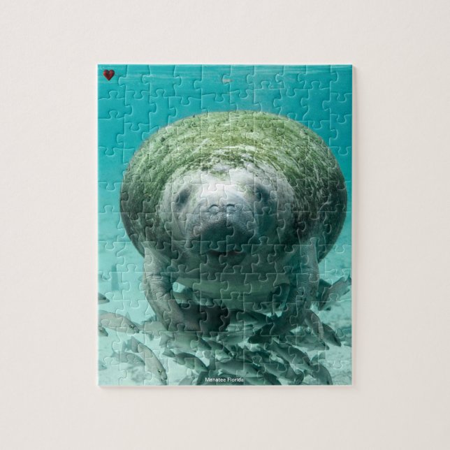 Manatee Florida Puzzle (Vertikal)
