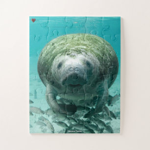 Manatee Florida Puzzle