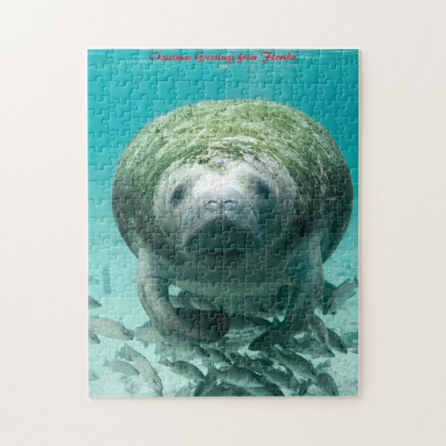 Manatee Florida. Weihnachtsgrüße Puzzle (Vertikal)