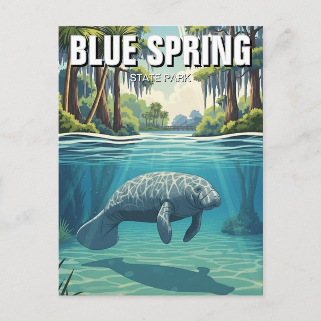Manatee in Blue Spring State Park Postkarte (Vorderseite)