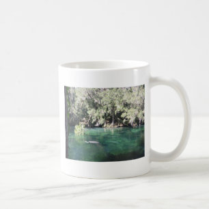 Manatee in Blue Springs Florida Kaffeetasse
