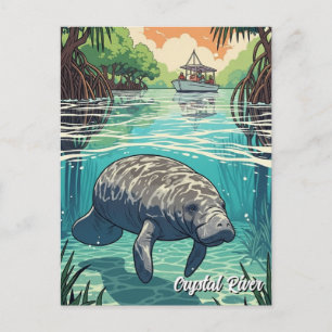 Manatee in Crystal River Florida Postkarte