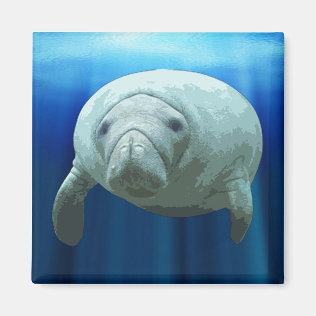 Manatee Magnet (Vorne)