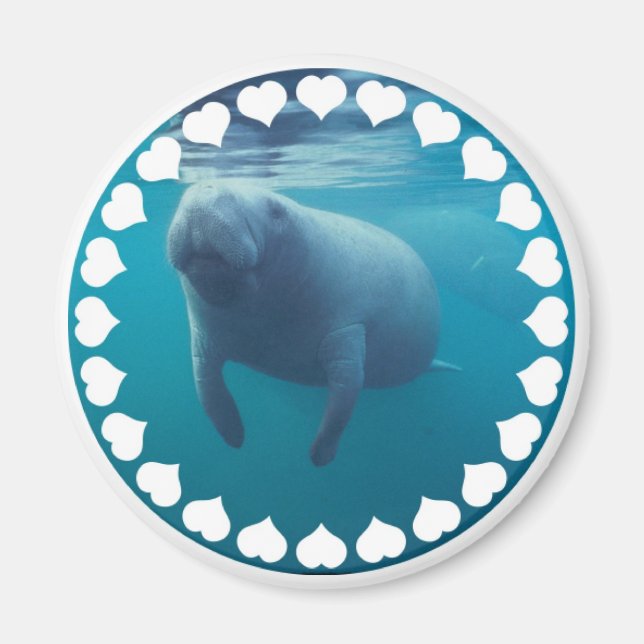 Manatee Magnet (Vorne)