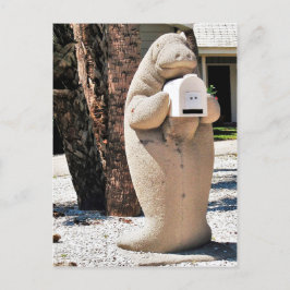 Manatee Mailbox in Florida Foto Postkarte