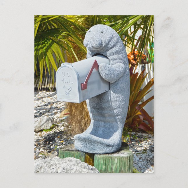 Manatee Mailbox Postkarte (Vorderseite)