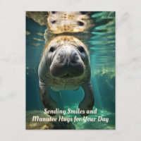 Manatee Marvel: Anpassbarer Manatee