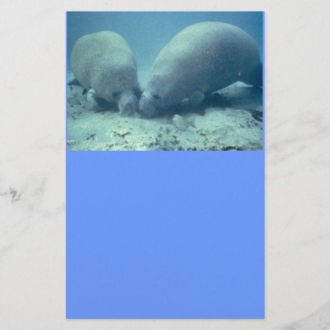 Manatee Moments Stationery Briefpapier (Vorderseite)