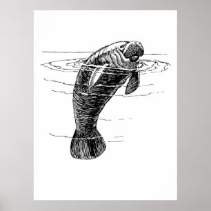 Manatee poster